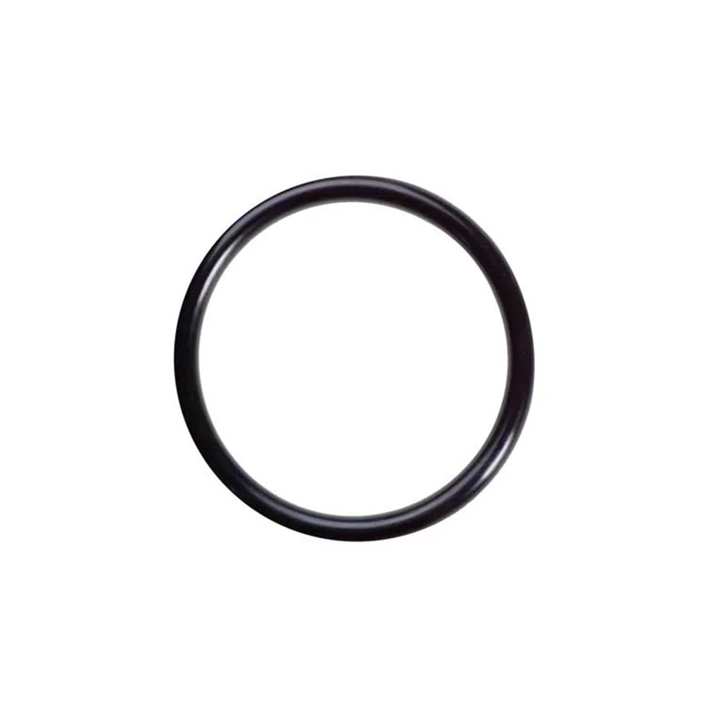 25*4 MM ORİNG